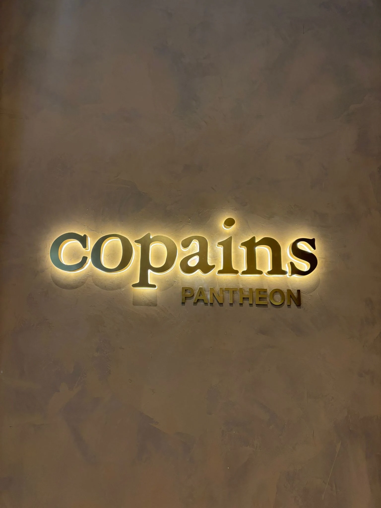 COPAINS-PANTHEON-LETTRES-BOITIERS-LUMINEUSES_resultat_Par_Atelier_Gambetta